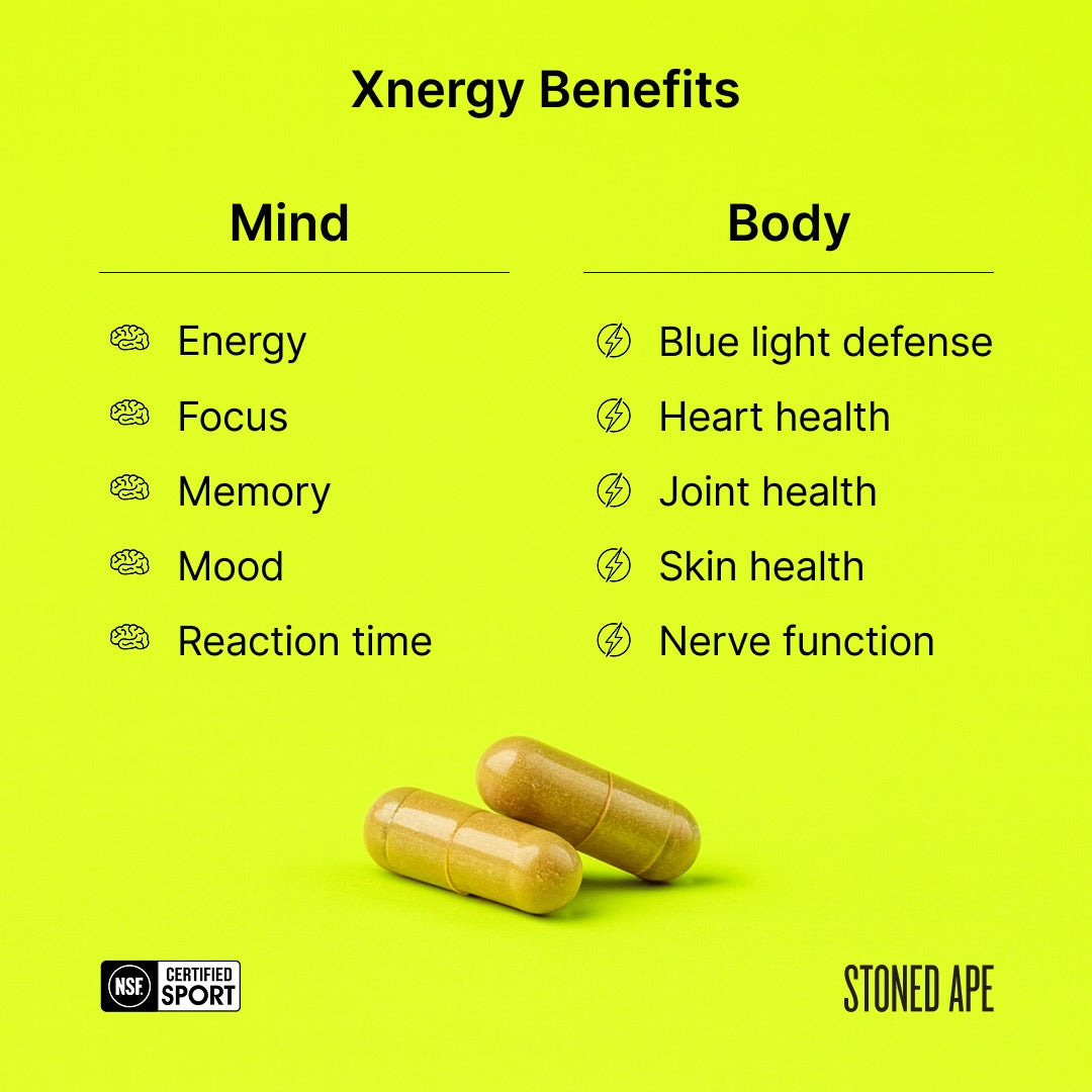 Calm Energy Bundle by Stoned Ape, Inc