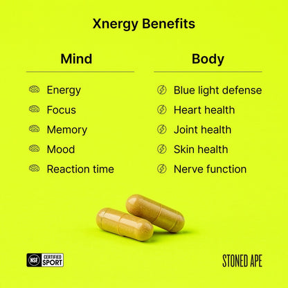 Calm Energy Bundle by Stoned Ape, Inc