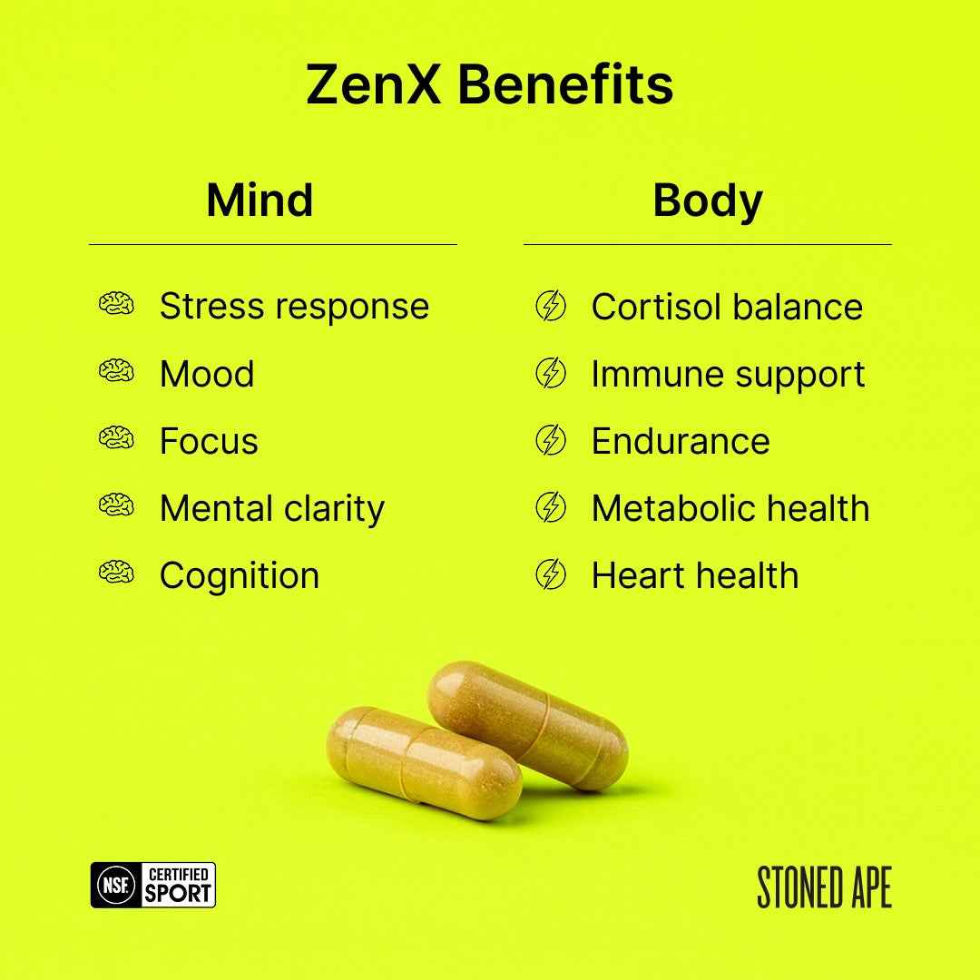 Recovery Bundle (Dream + ZenX)