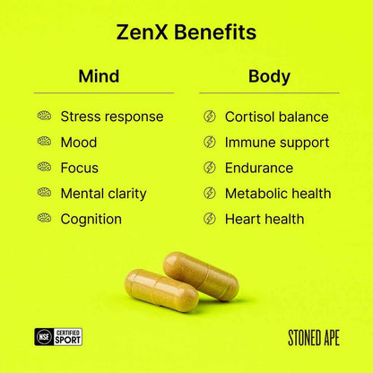 Recovery Bundle (Dream + ZenX)