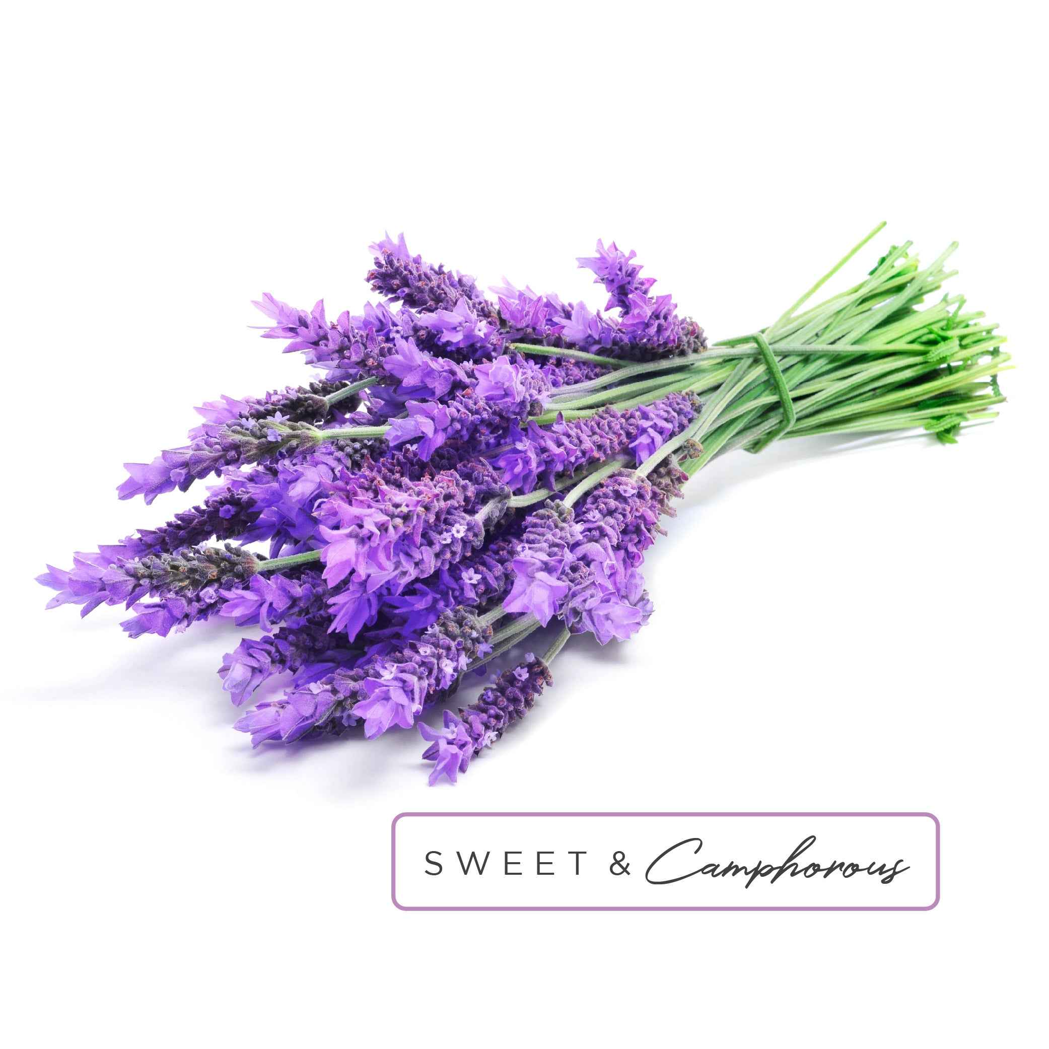 Essential Oil Roll-On in Healing