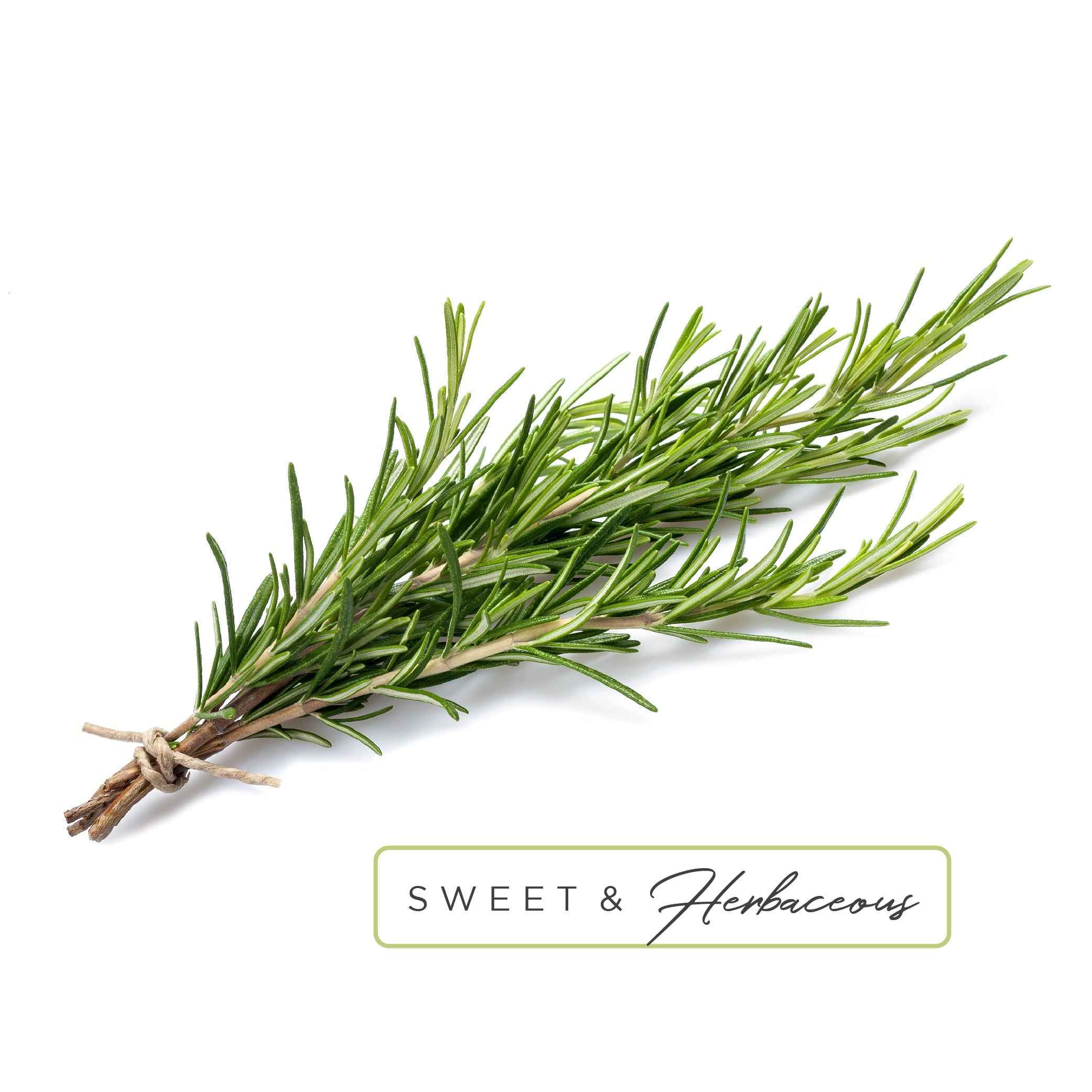 Essential Oil Roll-On in Focus