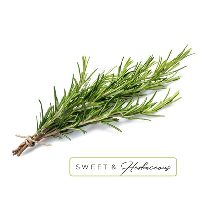 Essential Oil Roll-On in Focus