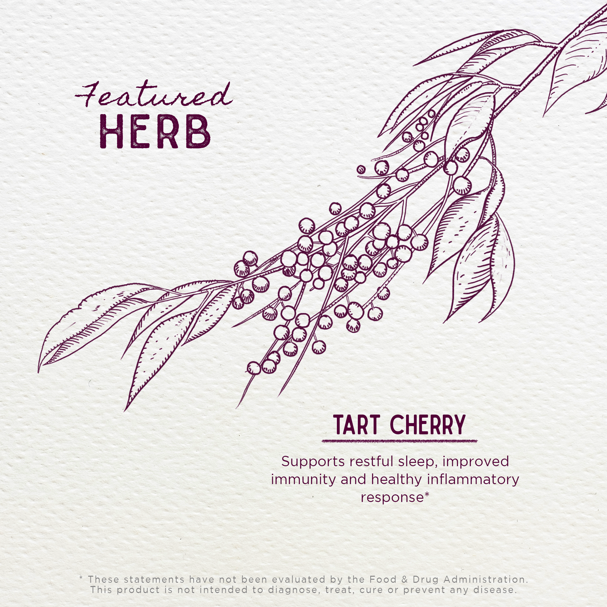 Tart Cherry by WishGarden Herbs