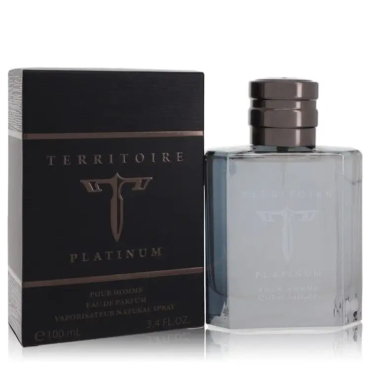 Territoire Platinum By YZY Perfume Cologne for Men