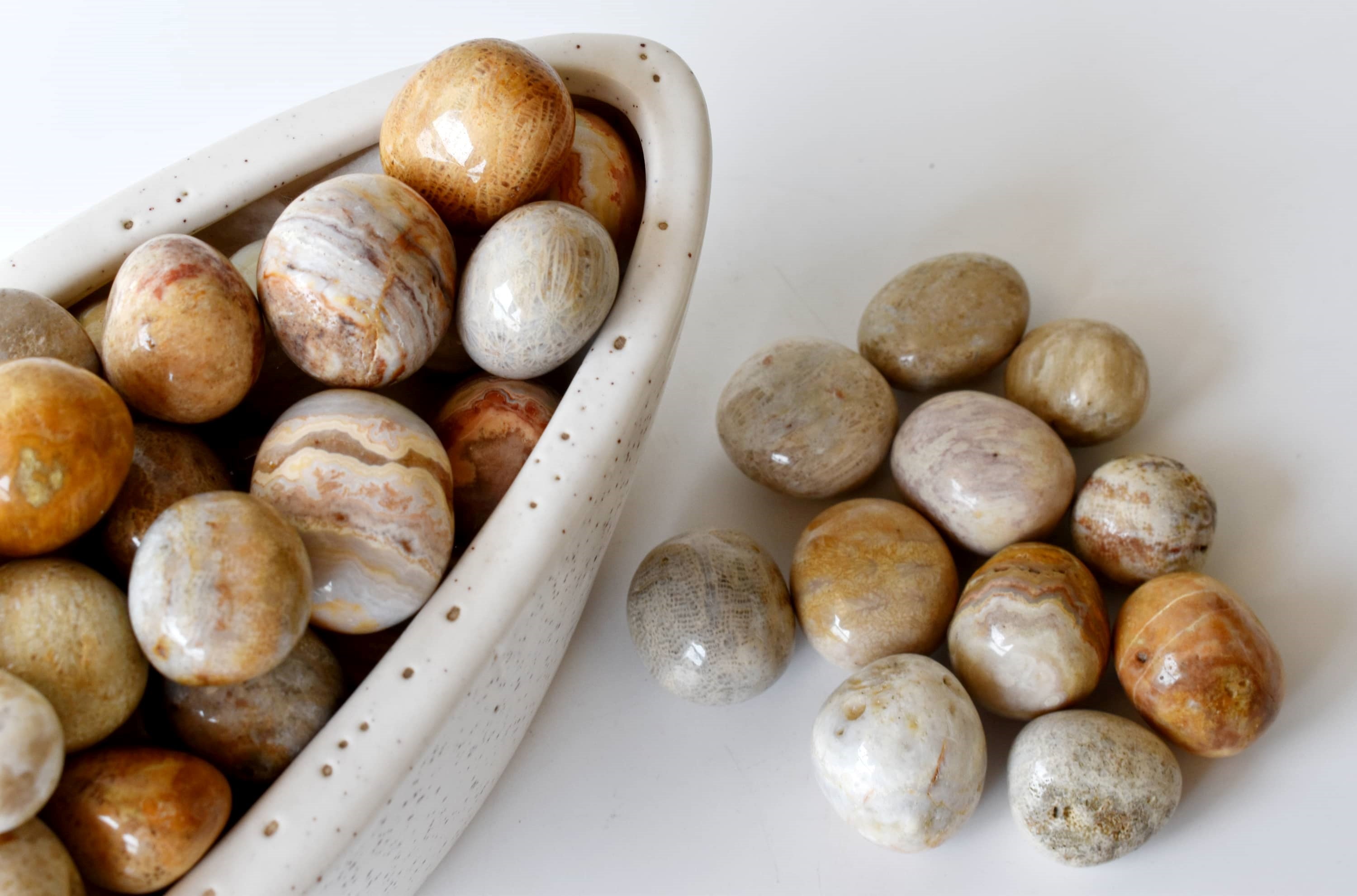Fossil Coral Tumbled crystals (Grounding and longevity)  DestGlow