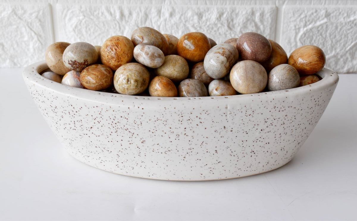 Fossil Coral Tumbled crystals (Grounding and longevity)  DestGlow