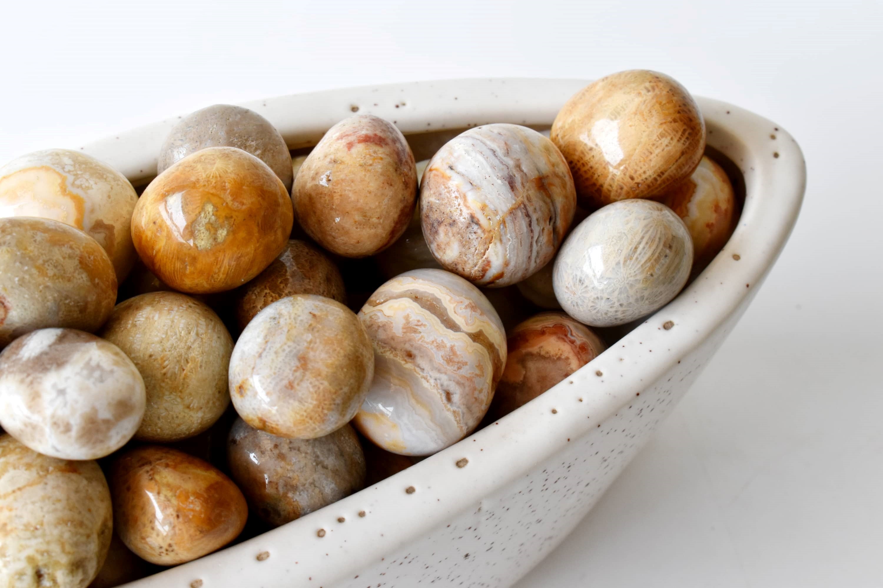 Fossil Coral Tumbled crystals (Grounding and longevity)  DestGlow