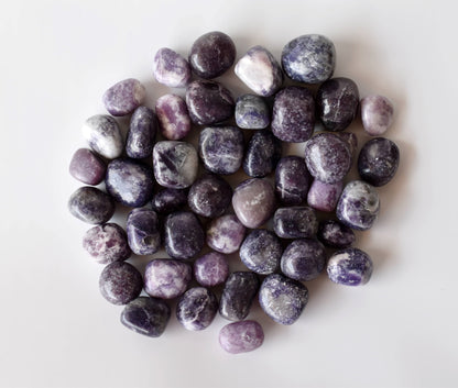 Lepidolite Tumbled Crystals (Emotional Understanding and Generosity)  DestGlow