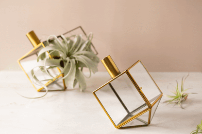 Radiant Hanukkah Gift Set