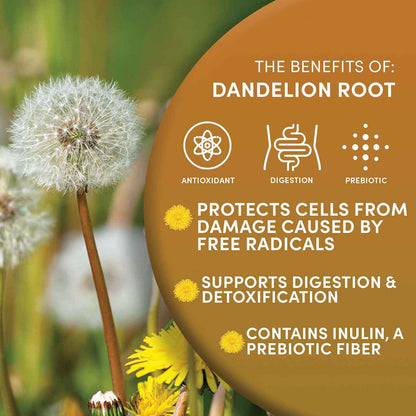Instant Dandelion Herbal Coffee