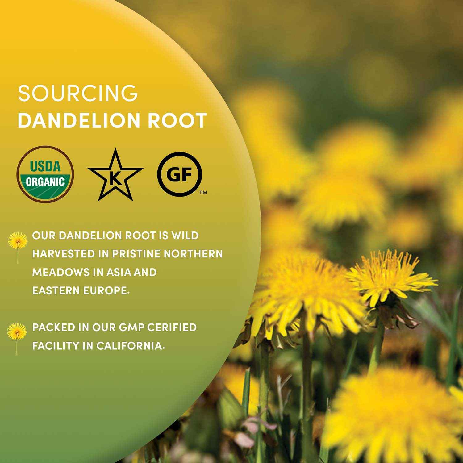 Instant Dandelion Herbal Coffee