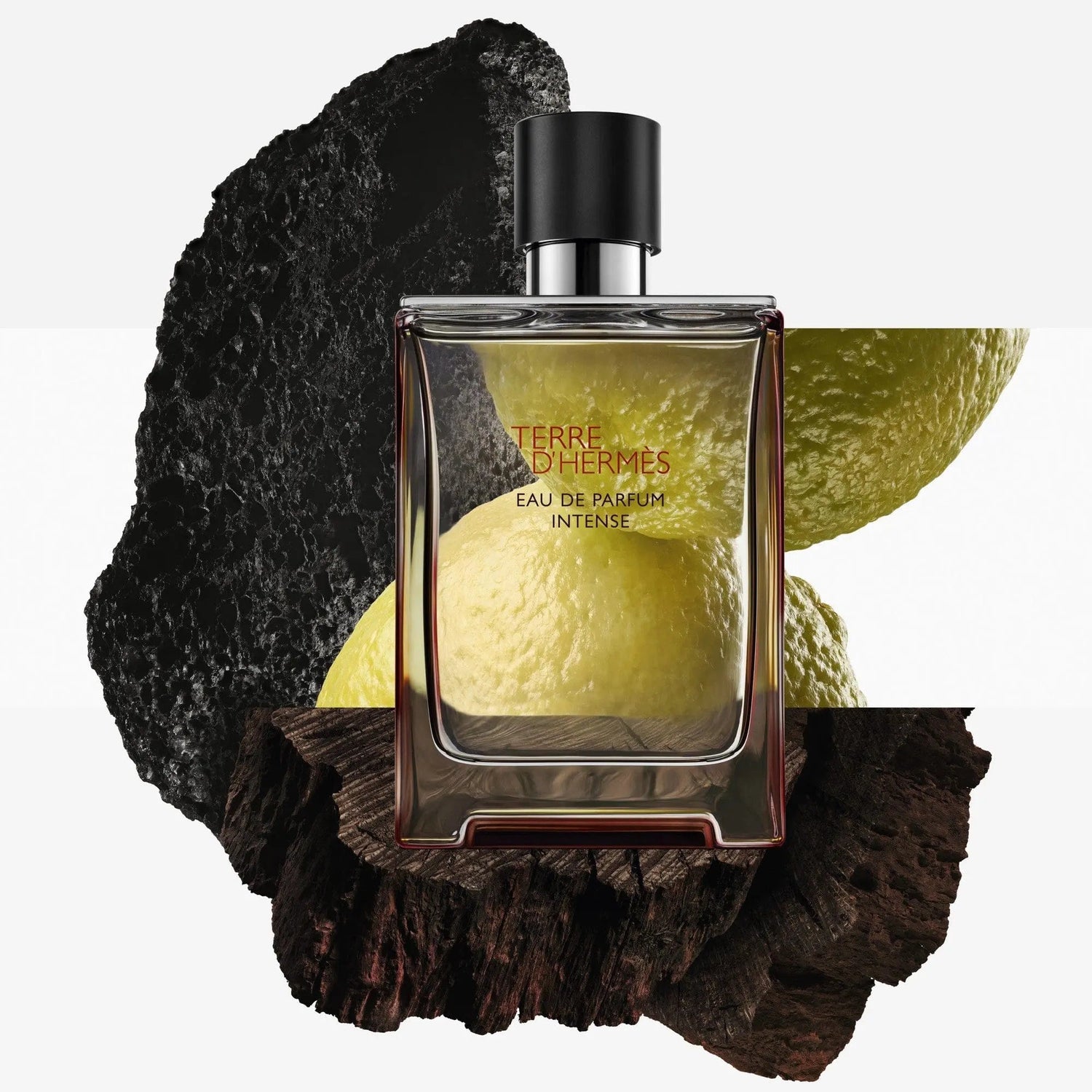 Terre D&