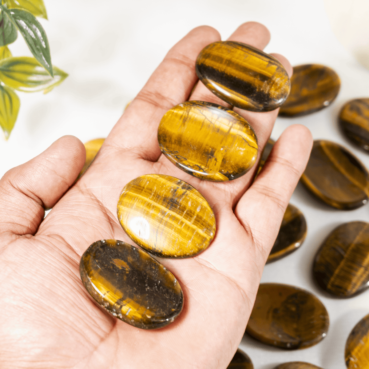 Tiger Eye Pocket Stones (Longevity &amp; Protection)  DestGlow