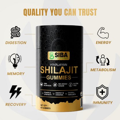 Shilajit Gummies - DestGlow
