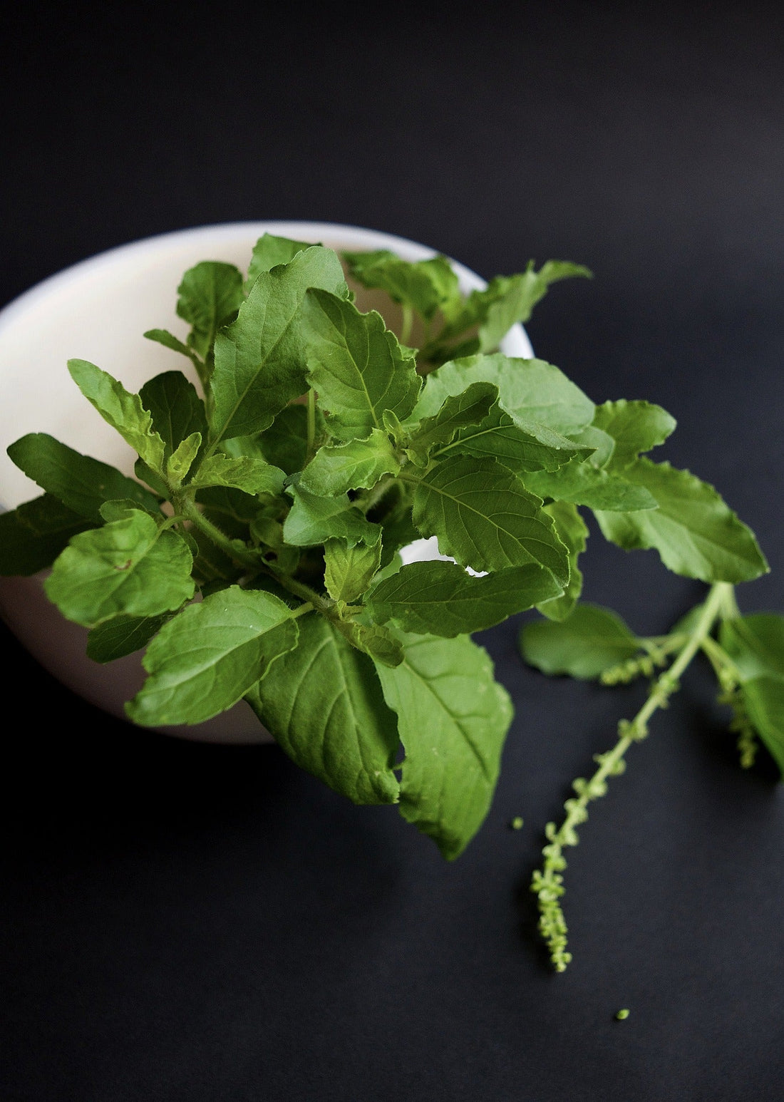 Tulsi Holy Basil Leaf, Granules by Country Life Natural Foods