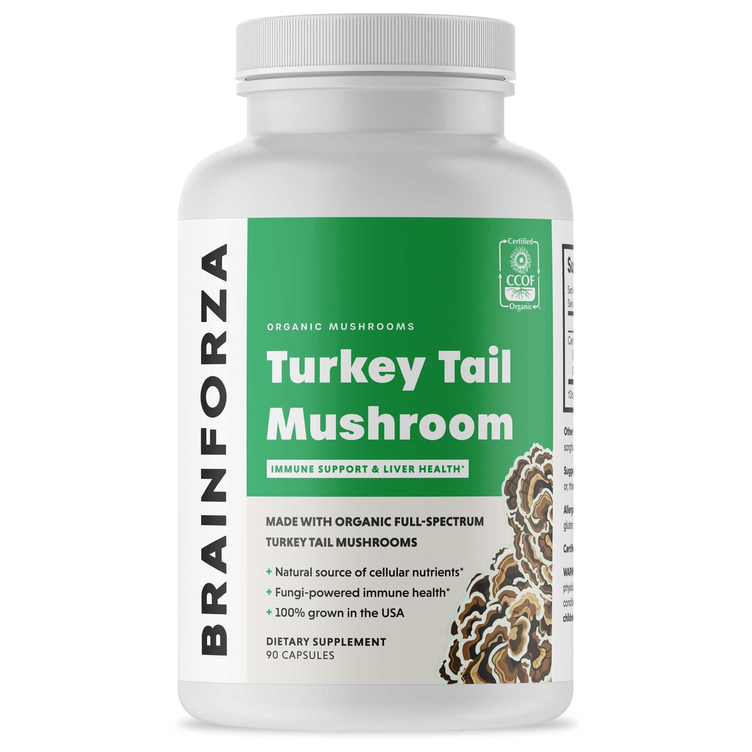 Organic Turkey Tail Mushroom, 90 Capsules