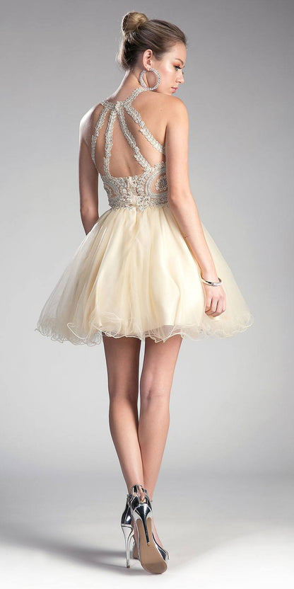 Ladivine UJ0119 Short Appliqued Bodice Halter Tulle Skirt Dress by DiscountDressShop