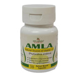 Deep Ayurveda Amla 500mg Veg Capsules