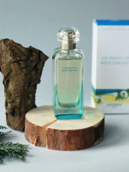 Un Jardin En Mediterranee By Hermes For Women 3.3 oz EDT Spray by perfumesandrea