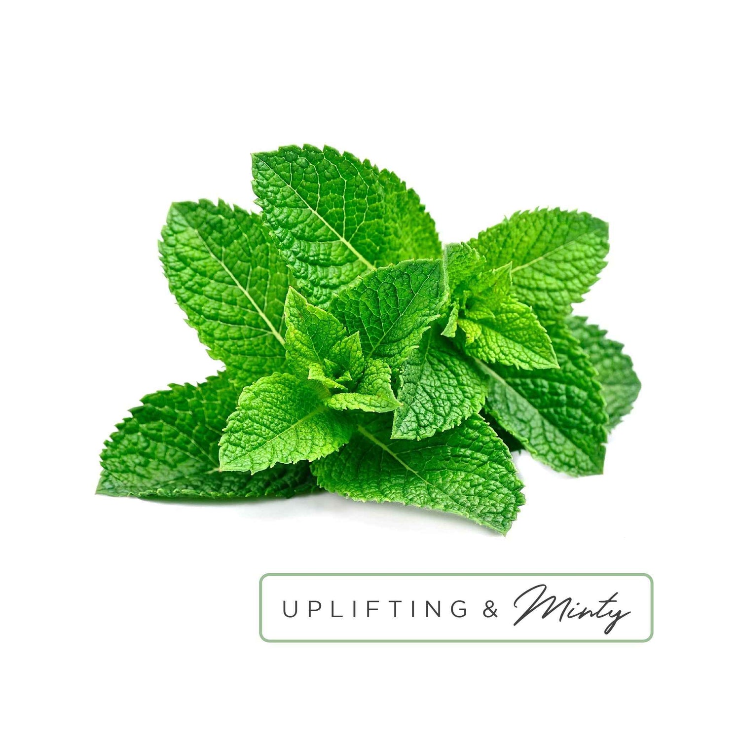 Essential Oil Roll-On in Rise