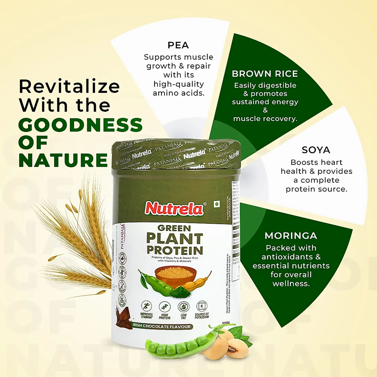 Patanjali Nutrela Green Plant Protein Chocolate Flavour