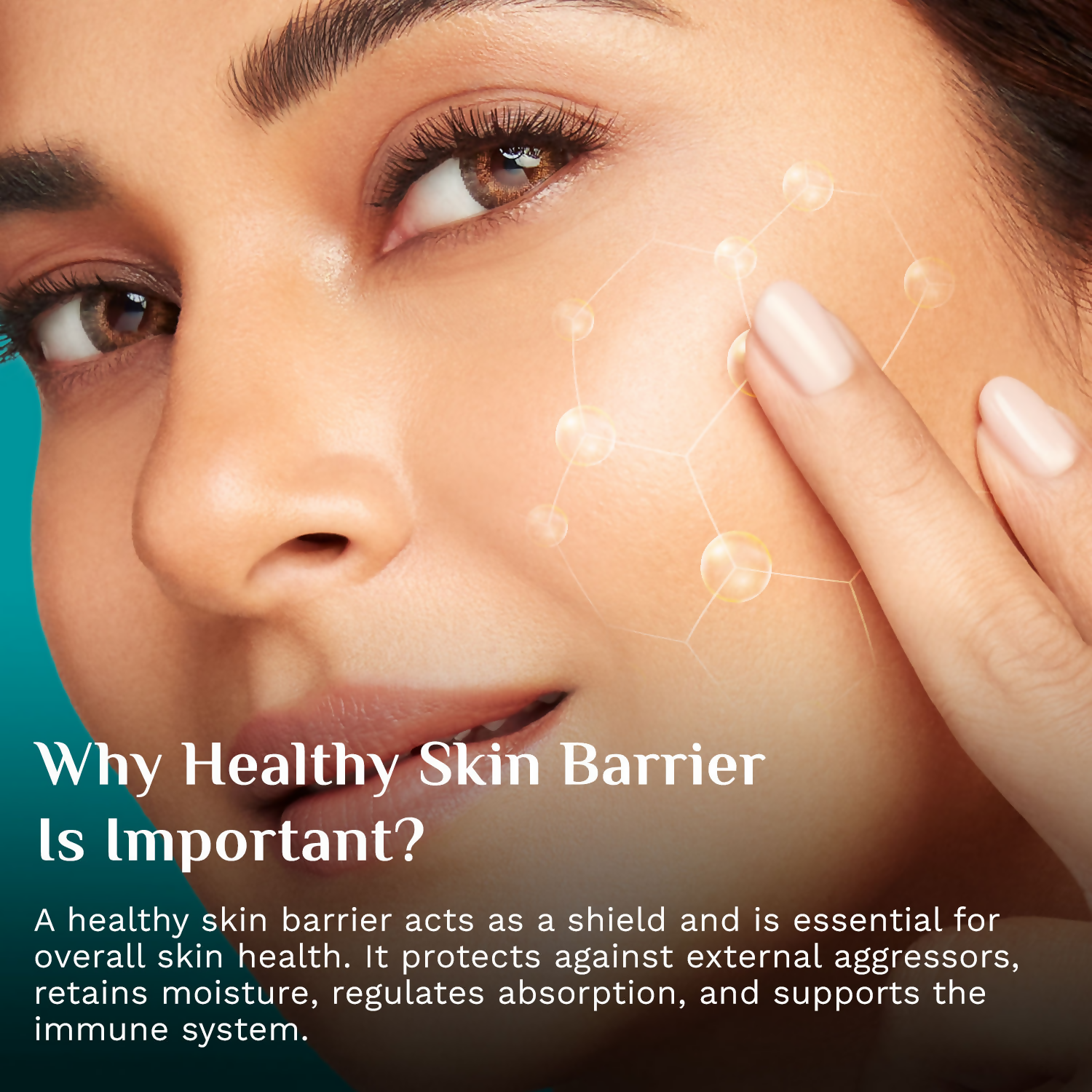 Pilgrim 5 Ceramides Barrier Repair Moisturizer