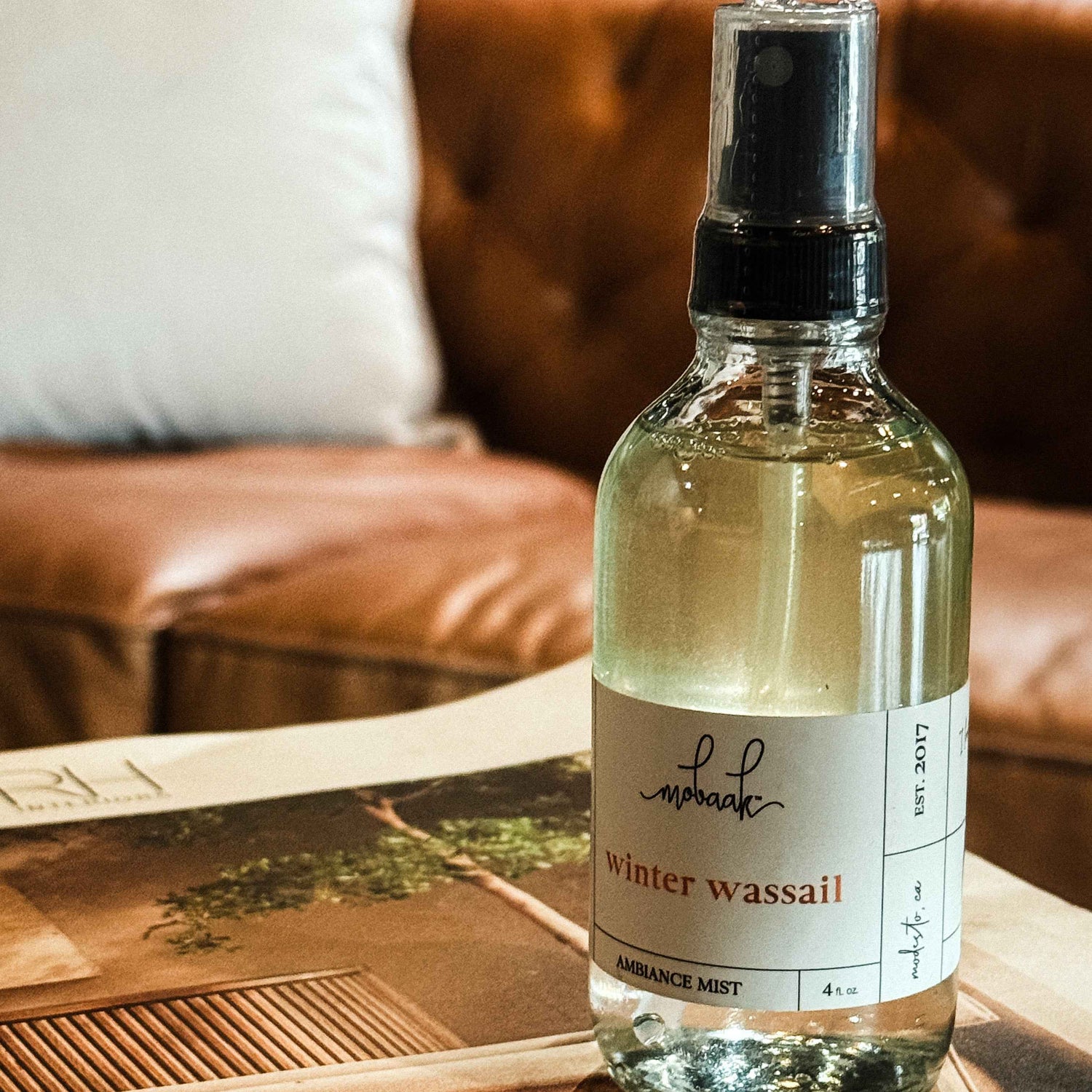 Winter Wassail Ambiance Mist