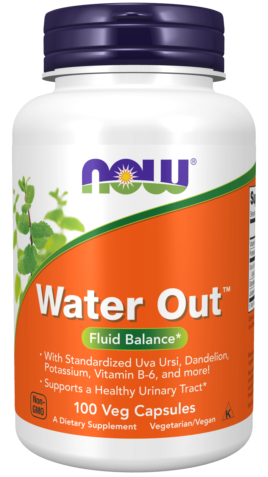 Water Out by Country Life Natural Foods