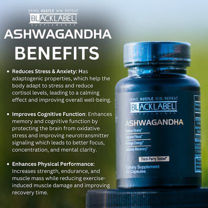 SENSORIL® ASHWAGANDHA by BLACKLABEL Supplements