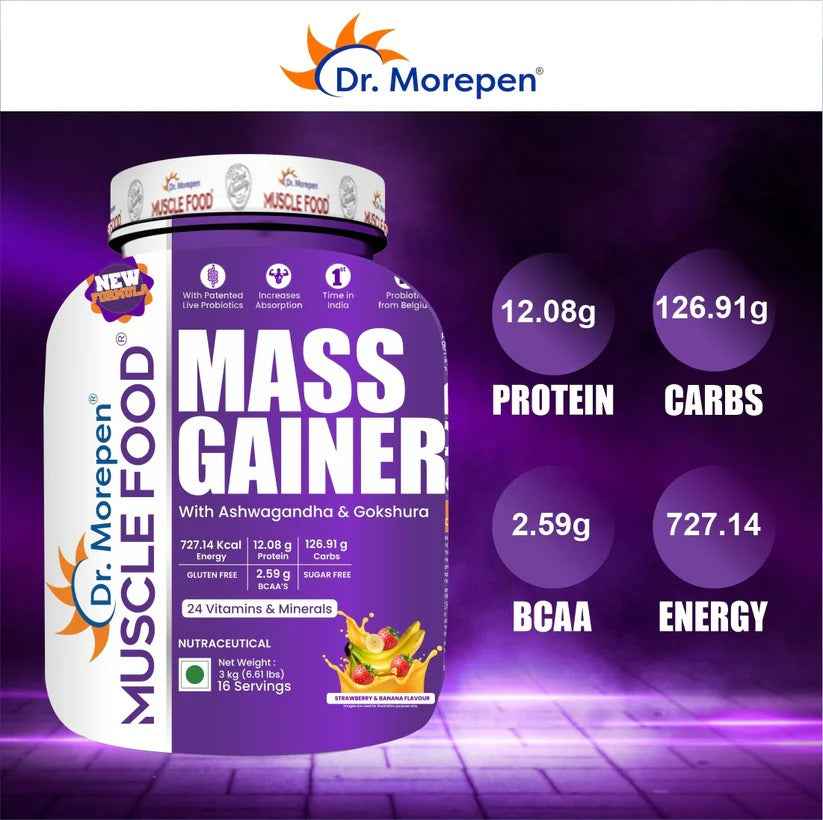 Dr Morpen Mass Gainer Butter Scotch