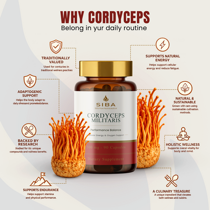 Cordyceps Mushroom Capsules