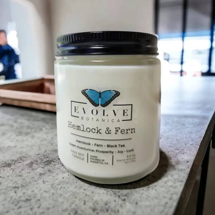 Classic 9oz Jam Jar Crystal Soy Candle - Hemlock &amp; Fern (Aventurine)