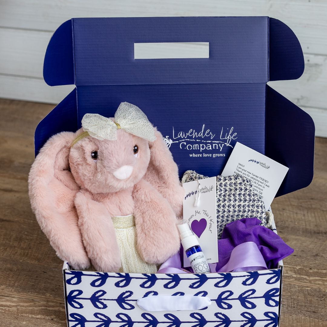 Xander Stuffed Bunny Gift Set - With Clothing &amp; More by Lavender Life Company