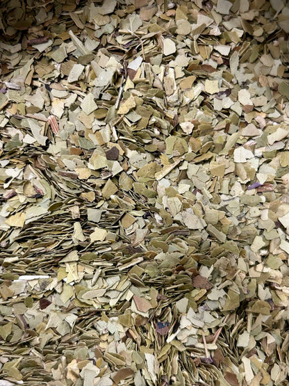 Organic Yerba Mate - 1oz