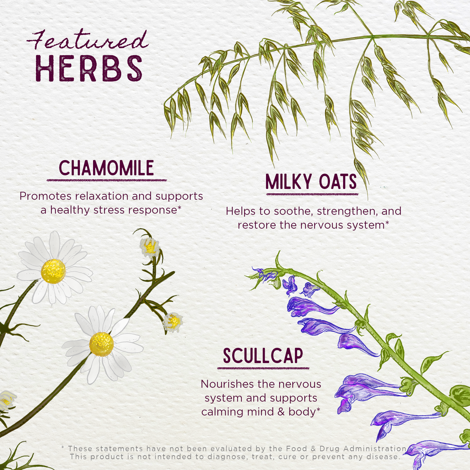 Sleepy Nights &amp; Fresh Mornings for Pregnancy - DestGlow