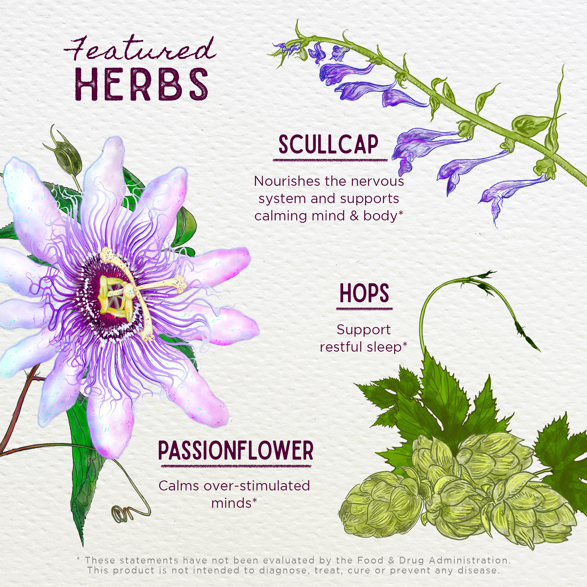 Sleepy Nights &amp; Fresh Mornings by WishGarden Herbs