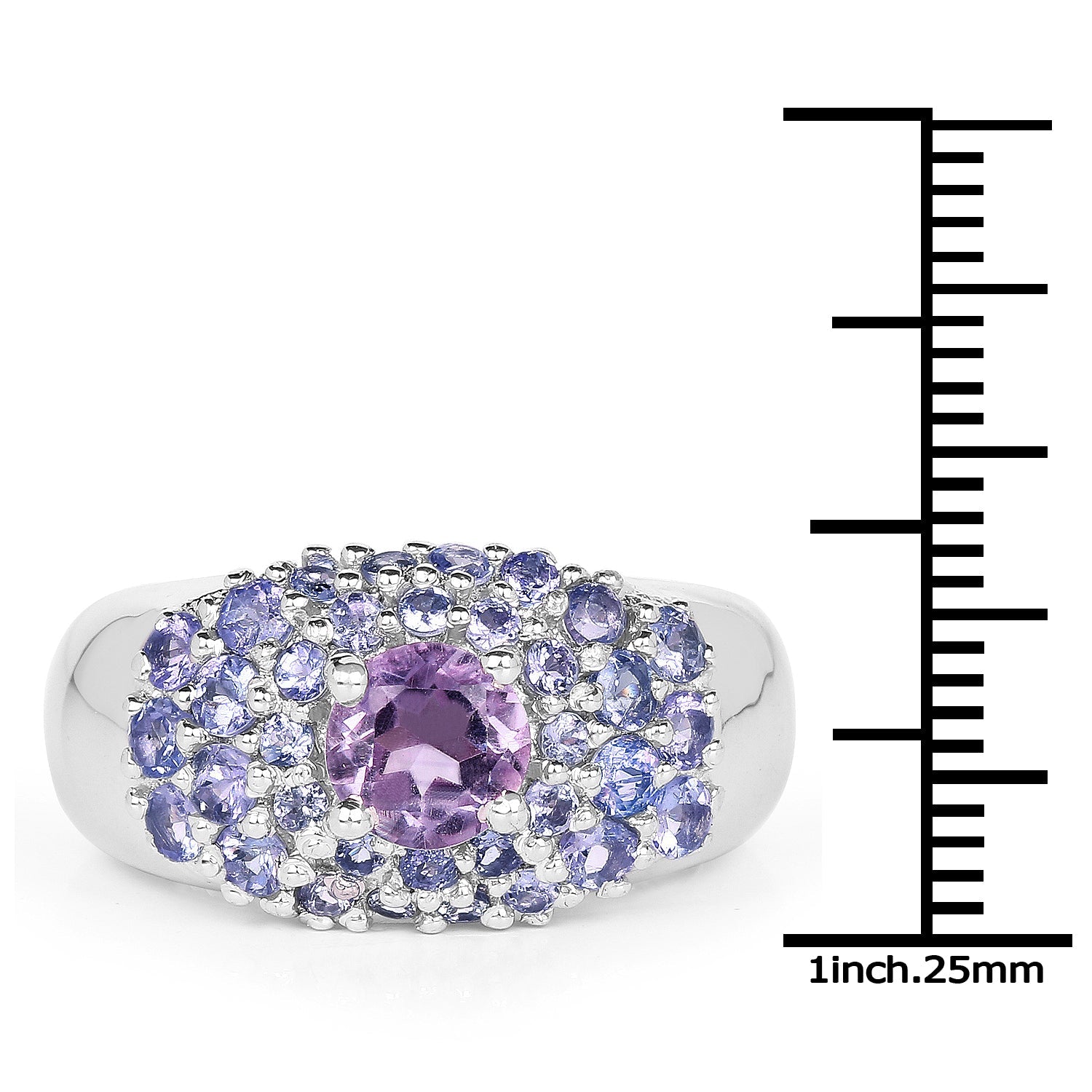 2.43 Carat Genuine Amethyst and Tanzanite .925 Sterling Silver Ring by Bids.com