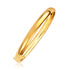 Classic Bangle in 14k Yellow Gold (6.0mm) by Bids.com