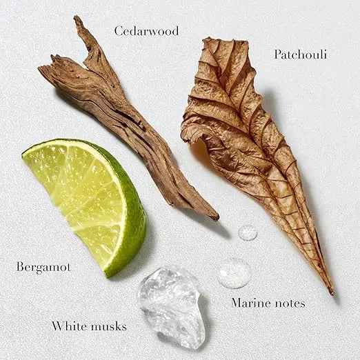 Giorgio Armani Acqua di Gio Perfume Collection for Men &amp; Women 3.4 FL OZ| Original Luxury Fragrance