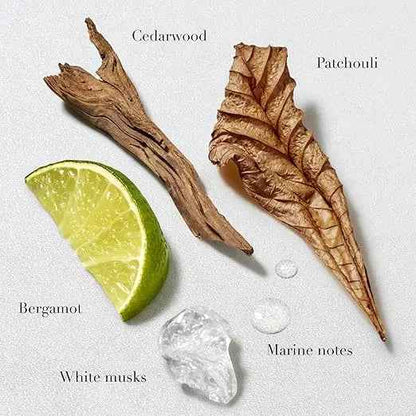 Giorgio Armani Acqua di Gio Perfume Collection for Men &amp; Women 3.4 FL OZ| Original Luxury Fragrance