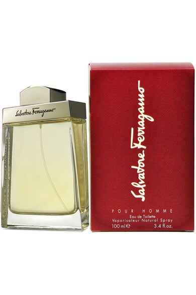 SALVATORE FERRAGAMO POUR HOMME EDT MEN