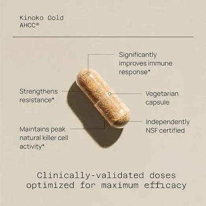 Quality of Life Premium Kinoko Gold AHCC Supplement, 500 mg per Capsule, Supports Immune Health, Liver Function, Maintains Natural Killer Cell Activity &amp; Enhances Cytokine Production, 60 Veg Capsules