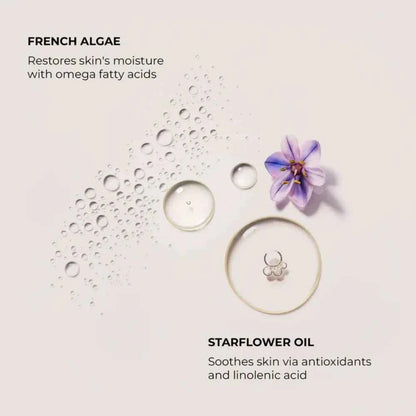 Laura Mercier Ambre Vanille Serum Body Cream 200 mL