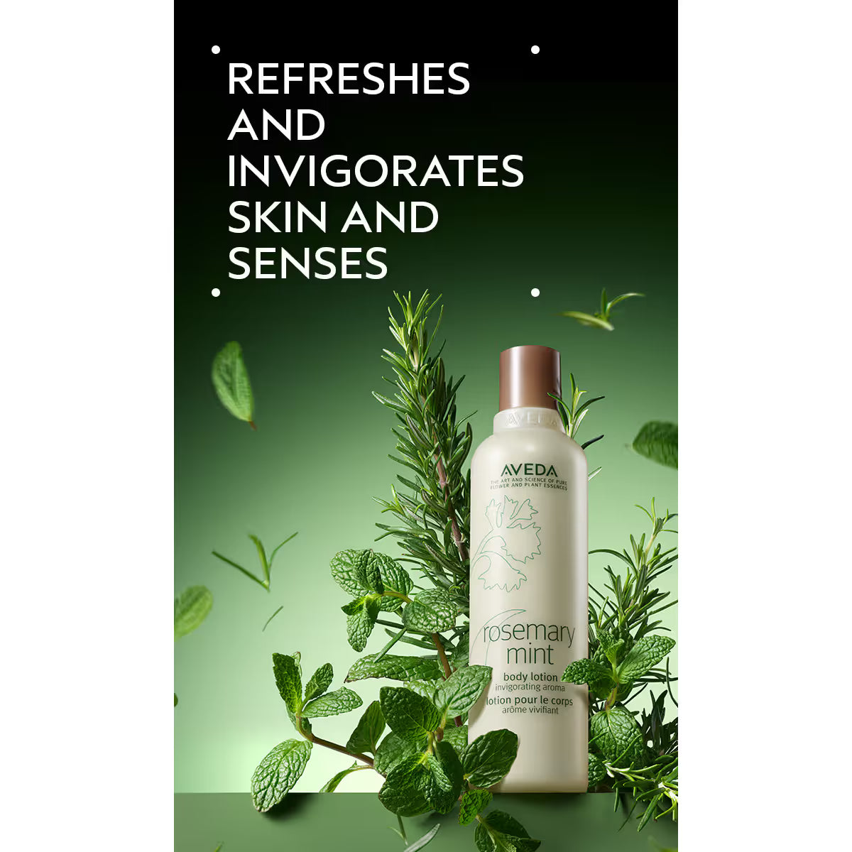 Aveda Rosemary Mint Body Lotion 6.7 oz 