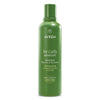 Aveda Be Curly Advanced Shampoo