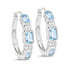 2.66 Carat Genuine Blue Topaz and White Topaz .925 Sterling Silver Earrings  DestGlow