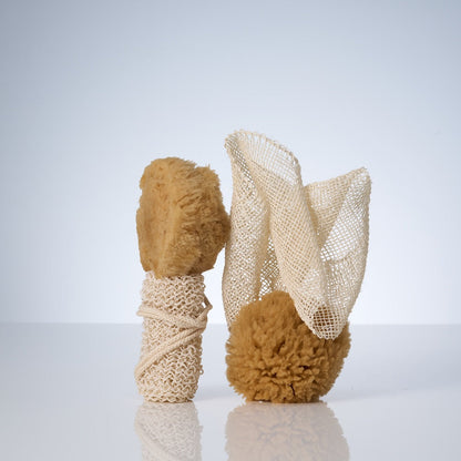 Natural Grass Sea Sponge