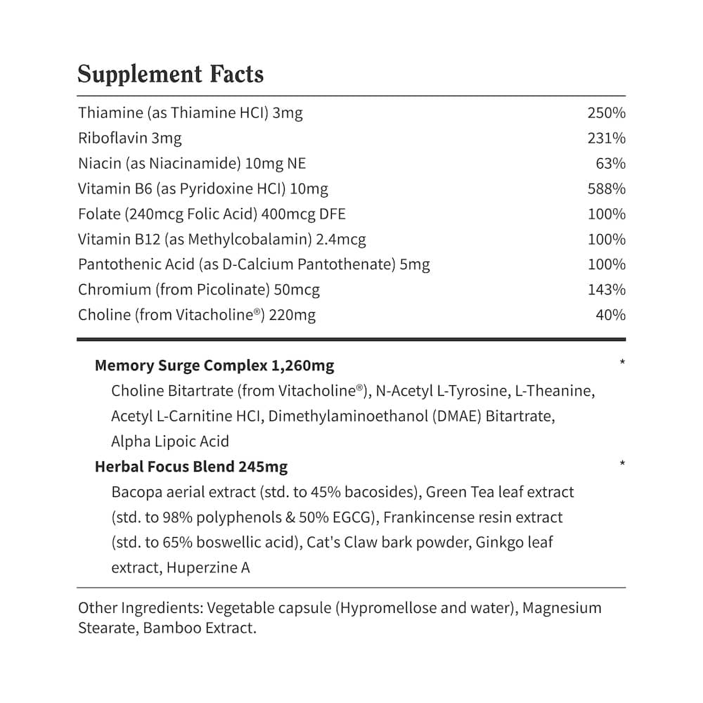 Brain Food by Snap Supplements