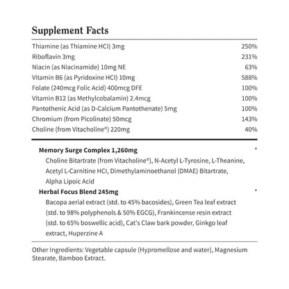 Brain Food by Snap Supplements